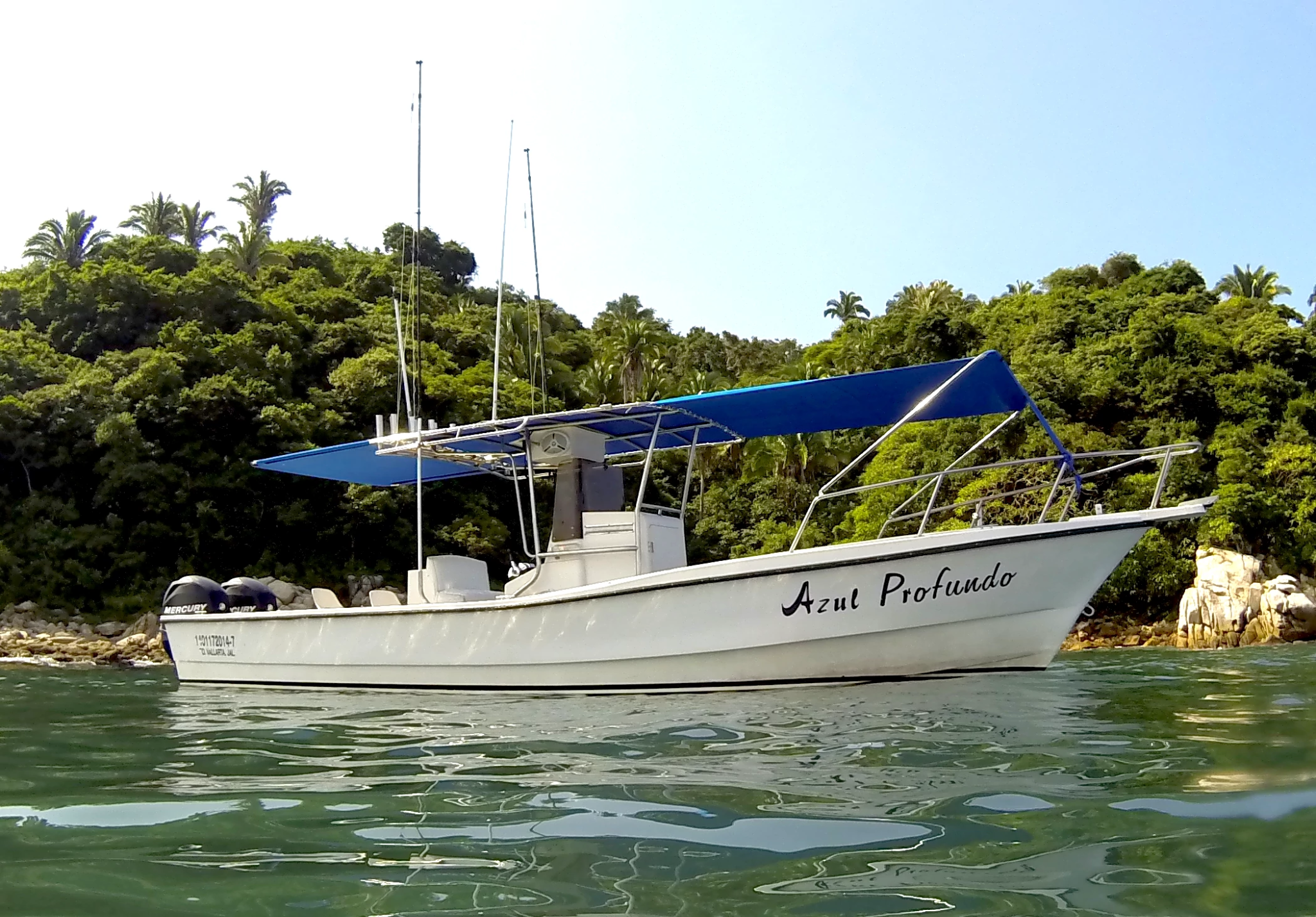 Embarcación Azul Profundo para pesca deportiva en Puerto Vallarta